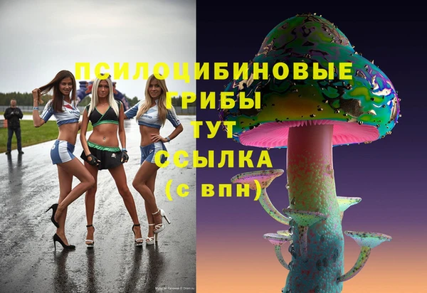 mix Белокуриха