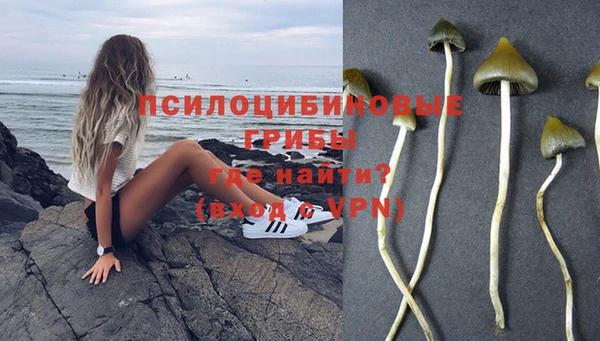 бошки Беломорск